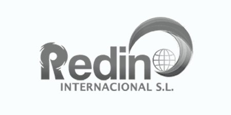 Logo Redin International